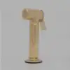 Solid brass kitchen hand sprayer with unlacquered finish